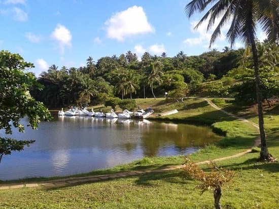 imagem do parque da cidade SSA